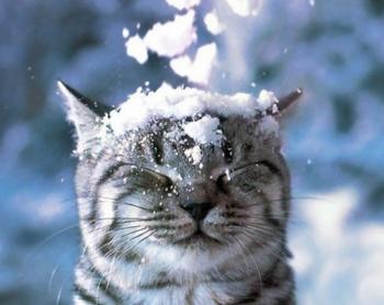 Вийшли вранці ми