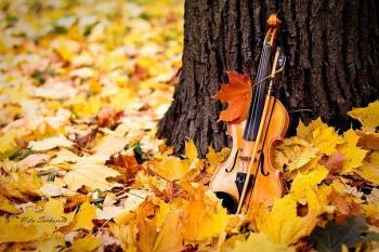 Осінній лицар