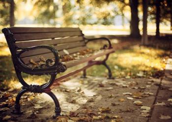 В парку є одна стежина