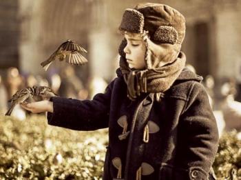 Земля недієздатних