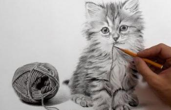 Моя улюблена тварина