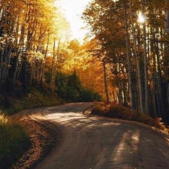 СПОВІДЬ ДОНЕЧЧАНКИ