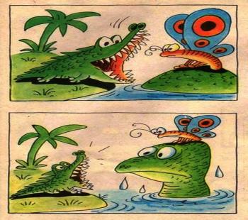 Крокодил та Метелик