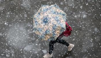 Перший сніг