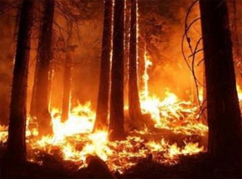 Яке нам діло до того...