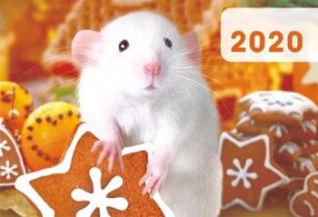 Привітання з Новим роком 2020 у віршах