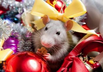 Привітання з Новим роком 2020