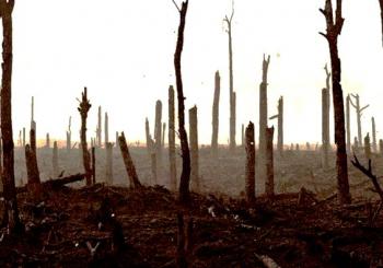 Місце під сонцем