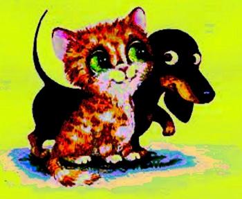 Де Хата Бровка?