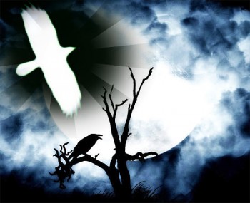 Біла ворона