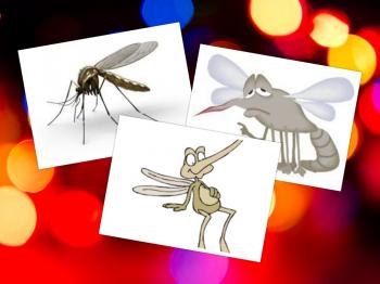 Школа Життя