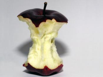 Садовник и Автор