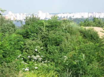 &laquo;Я чекала на цей день...&raquo;