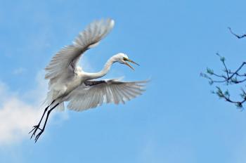Концерт музики Шрі Чинмоя у Будинку актора