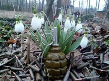 Сьома весна