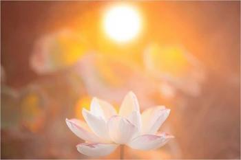 &laquo;Нічний туман повзе крізь темінь...&raquo;