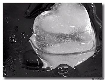 Кусочек льда в твоем мартини