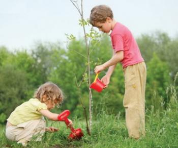 Сонце стукає в віконце