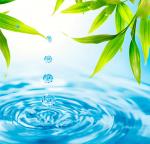 Розв’язування задач з теми: Рух тіла під дією сили тяжіння, кинутого вертикально