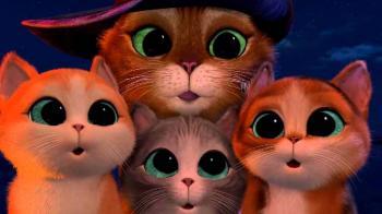 Котята-Стиляги