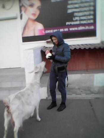 Грона Гніву