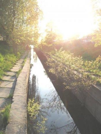Скажений вітер, священна тиша...
