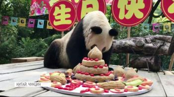 До дня свого народження