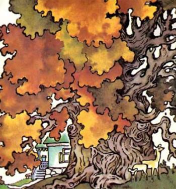 Дуб під вікном