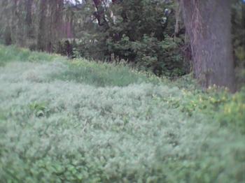 Облака.../Хмари...