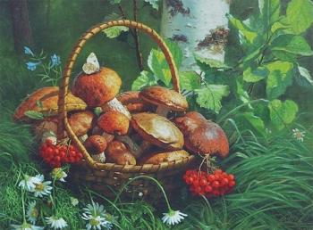 Прогулянка по лісі