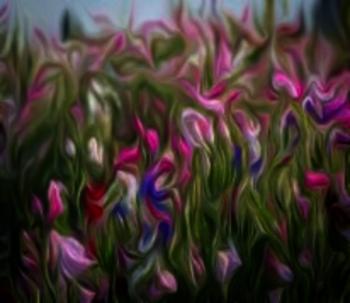 Медове Різнотрав`я