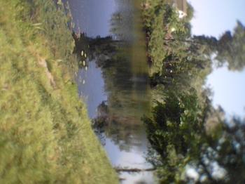 Не спи, Вкраїно...