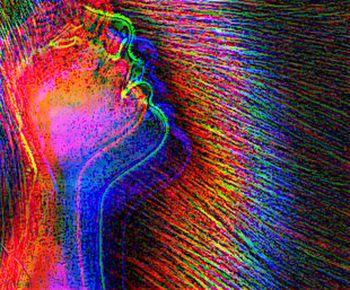 Кофейна Леді