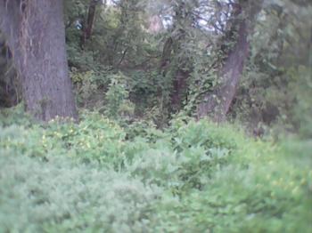 &laquo;Світоглядні перлини української національної ідеї&raquo;. Сторінки з книги Івана Белебехи