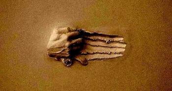 Із затишку оаз...