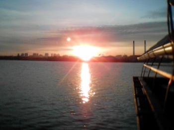 Дикі чудовиська вийшли...