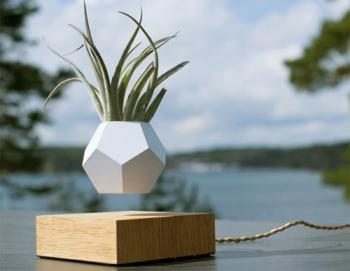 Магнітні властивості речовини. Гіпотеза Ампера