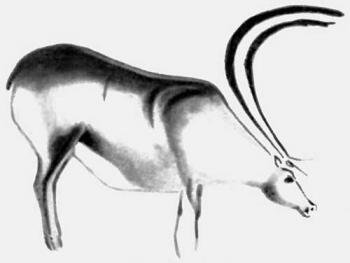 Олень біля струмка