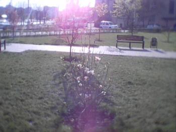 Міст понад Дніпром