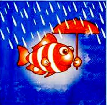 Навіщо Рибці Парасолька?