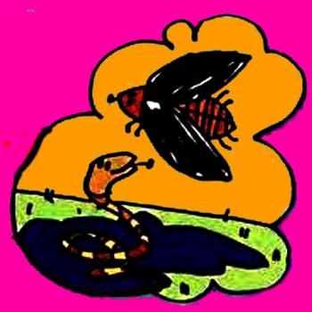 Вищий пілотаж