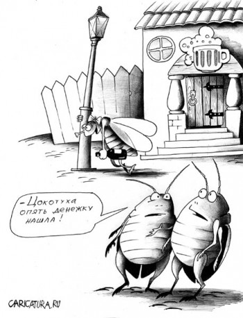 Пісня мухи в пляшці