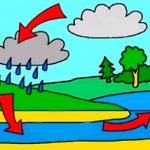 Випаровування і конденсація в живій природі