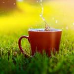 Вже займається в сутінках обрій