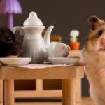 Какао з бубликами