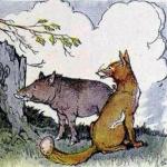 Кабан та лисиця