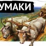 Воли та вісь