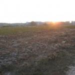 Розкіш і злидні української буржуазії