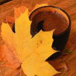 Осінній лист удосвіта злетів