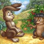 Куди дівати щедрий урожай